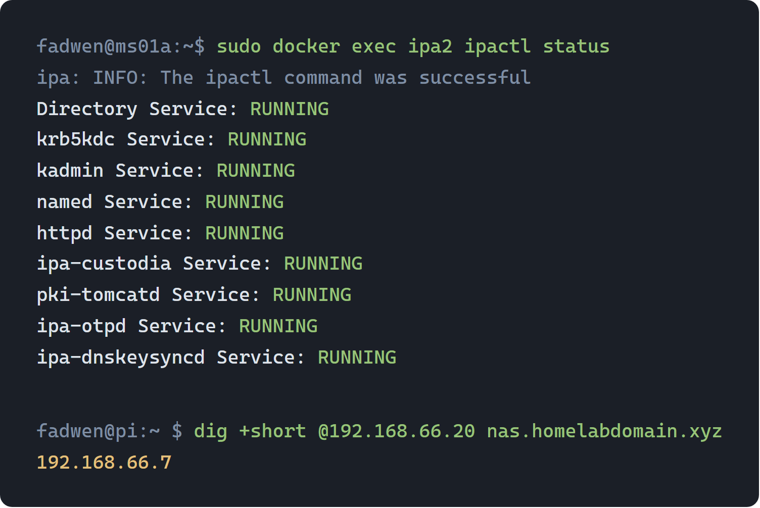 Terminal showing ipactl status on the replica container alongside a dig query answered by it